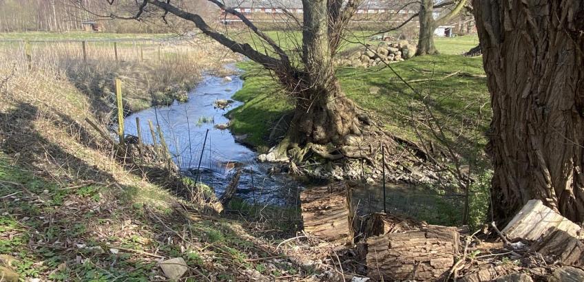Åen ved siden af Kildebo