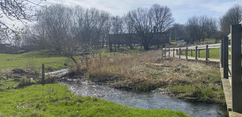 Kig til Kildebo fra engen